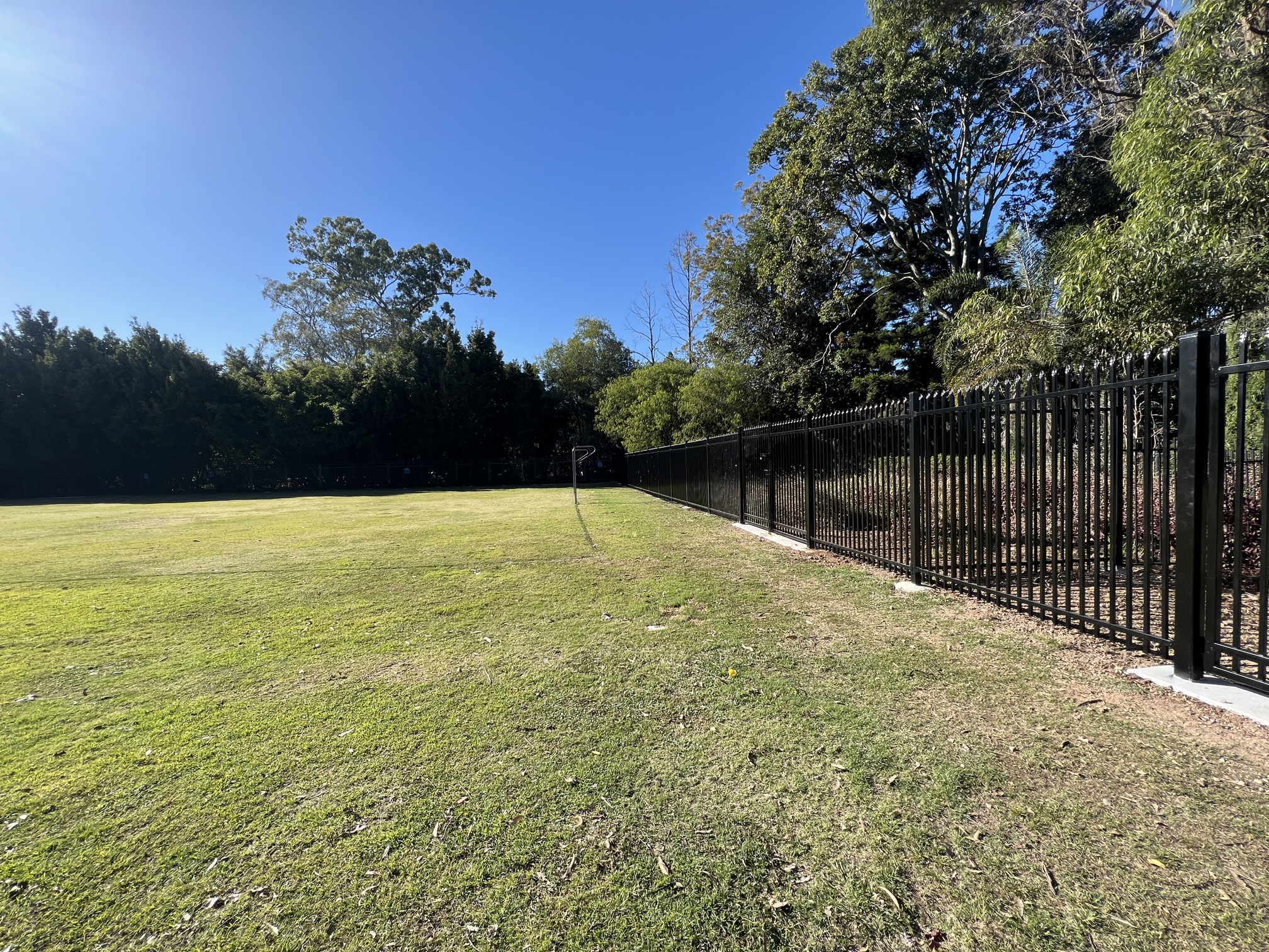 School palisade fencing